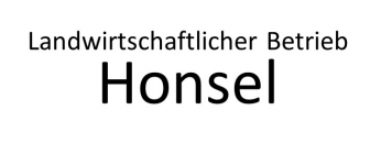 Logo Honsel